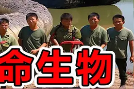 亚马逊雨林“最罕见”的10大生物，第一名号称人类屠夫 #科学脑洞上分赛 #神奇动物在抖音 #动物纪录片解说 #奇闻趣事 #动物视频封面