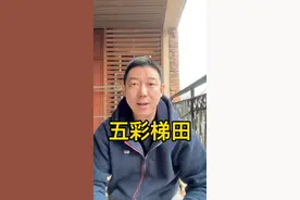 重庆主城唯一的梯田油菜花海，盛开了！#五彩梯田 #大渡口 #大滨路#油菜花开季 @林海读车