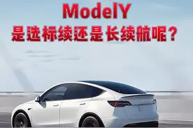 ModelY是选标续还是长续航呢？ 南方标续 ，北方长续航 ，有钱P视频封面