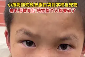 小孩哥村口抓蛇放衣服口袋带到学校当宠物，被老师教育后，感觉整个人都要碎了视频封面