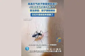 7月18日（报道），河南。高温天气蚊子数量明显减少，40度高温把蚊子热死了？医生辟谣：蚊子很聪明的，它们只是躲起来避暑了。#蚊子 #高温