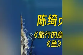 外国音乐人如何评价文艺女神陈绮贞 #陈绮贞 #陈绮贞旅行的意义 #华语乐坛 #外国人反应 #神级现场