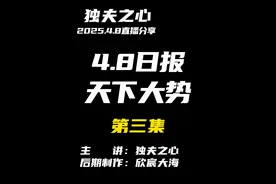 2025.4.8日报第三集（共四集，注意查看主页） 