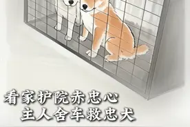 狗贩子偷狗，狗主人开车去追，宁愿把车撞坏也要截停狗贩子 #光合作用半小时 #狗狗与主人的感人故事  #狗狗是人类最好的朋友 #狗狗日常 #温暖视频封面