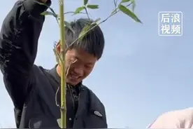 #男子自驾1800多公里给丈母娘带竹苗  女儿：我们不在家的时候，她看到竹子就能想到我们#竹子 #竹苗 #甘肃dou知道视频封面