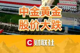中金黄金，股价大跌 视频封面