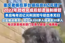重庆老板在茅台镇投资8亿元建厂，验收完成后却遭强制接管，本应每年近亿元利润如今却血本无归（剪辑、运营：王瑞琦）