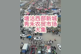 天津滨海新区塘沽西部新城秀禾农贸市场大集 #天津 #滨海新区 #塘沽 #西部新城 #烟火气视频封面