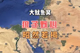 “大鱿鱼窝”狼子野心 昭然若揭 #巴以冲突 #中东 #石油美元