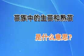 清朝文献中，用来区分苗族的生苗和熟苗是什么意思？