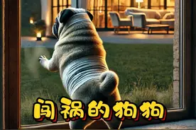 狗狗闯祸了 狗狗后来能得到原谅吗...... #狗狗  #萌宠出道计划  #不爱请别伤害  #治愈世界治愈你  #萌到爆炸了💥视频封面