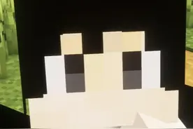 你可能不认识我，但你一定看过我的视频 #我的世界