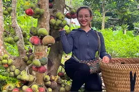阿姐发现树上巨型无花果无人采摘，摘去市场售卖，被一抢而空视频封面