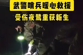 受伤夜鹭落入营区，网友：小动物也知道哪里是安全的 （干兵兵  徐礼跃  朱俊宝）#保护野生动物 #暖心视频封面