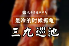 一年中最冷的时节，去水里抓乌龟给大家看看！ #养龟日常 #龟宠时代 #乌龟 #农村户外#养龟人