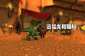 迅猛龙和猫科宠物 猎人带哪个？ #魔兽世界怀旧服 #魔兽世界plus