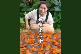 妈妈种的南瓜大丰收，摘来做点“香辣南瓜干”吃起来软软糯糯，可香了！#舌尖上的抖音 #抖音美好丰收节 #抖音新农人 #星农人星乡村 #丰收中国2025