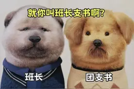 班委职位怎么选？一个视频带你了解大学班委！#2023开学季 #班委