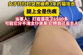 #女子被养了3年的猫攻击  打疫苗花了1500多元。当事人：可能它分不清主仆关系。@野原佐佐视频封面