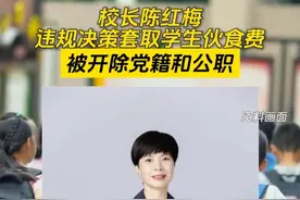 校长陈红梅违规决策套取学生伙食费，被开除党籍和公职视频封面