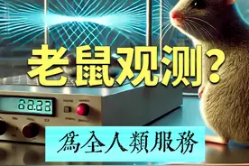 如果老鼠观测双缝实验，会影响光子的干涉吗？ #知识科普视频封面