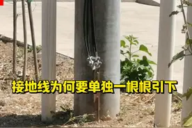 接地线为何要一根根引下呢#电工知识