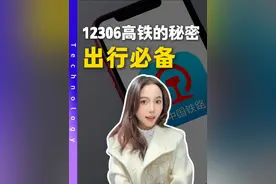 你知道12306隐藏的秘密吗？ #12306 #抢票 #复工 #返程高峰 #春节出行计划