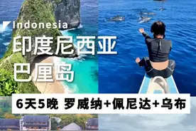 五一来巴厘岛玩 看我这篇攻略就够 #巴厘岛 #印尼 #罗威纳追海豚 #旅行推荐官 #五一去哪儿