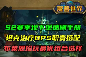 S2赛季地下堡坦克治疗DPS职责搭配！布莱恩珍玩最优选择！视频封面
