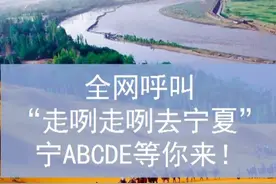 全网呼叫“走咧走咧去宁夏”，宁ABCDE等你来！#车牌歌