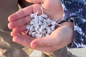 为什么摔炮一摔就会炸？ 