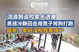 5月11日，湖南省怀化市辰溪县一条狗追咬家犬进屋，屋中17岁男孩沉着冷静持凳回击。5月12日，男孩母亲雷女士称，闯入屋内的狗疑似疯狗，在屋外就把自家狗咬了，随后还追到屋内继续咬，孩子拿着凳子将狗打跑。大水田乡政府工作人员表示，目前未收到有人被咬伤信息，情况还在调查中。视频封面