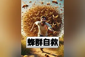 遭遇蜂群如何自救？ #涨知识 #科普