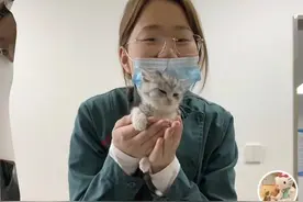 #00后女生宠物医院上班没有班味  00后女生分享宠物医院工作日常，网友：这个班让我上两天！视频封面