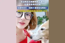 赵露思的狗走丢被网友捡到，赵露思发文感谢网友帮忙找狗