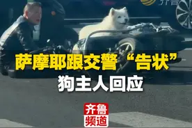 10月27日 江苏（发布），主人带狗狗出门遇事故，翻车后萨摩耶对交警一顿“告状”，狗主人最新回应：罐罐已经补上 此视频为证#山东dou知道视频封面