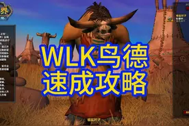 鸟德很简单，一个视频说明白，属性，装备和手法 #魔兽世界