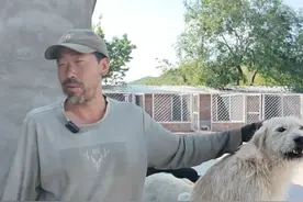 6月5日发布，#8个月的隐忍击败曾经的狗王  ，来听饲养主胡子大叔讲讲查理大帝是如何一步步登上王位。#查理国王#长毛