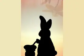 全程高能！英国达人秀总冠军用#影子舞 “跳出”#中秋 文化，这创意绝了！#央视中秋晚会  #央视秋晚名场面视频封面