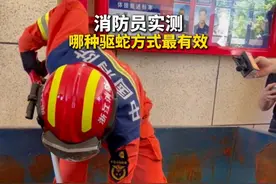 哪种驱蛇方式最有效？消防员实验告诉你