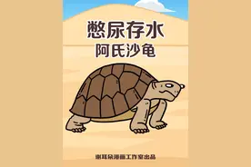 不喝水也能活上一年的乌龟 #科普 #涨知识 #阿氏沙龟视频封面