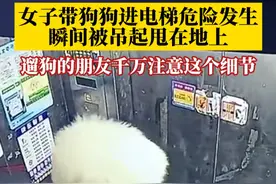 女子带狗狗进电梯，下一秒危险发生！电梯门夹住绳子，连人带狗被吊起后重重摔倒在地。#监控下的一幕 #遛狗 #电梯安全视频封面