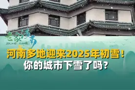 1月23日，瑞雪兆丰年，河南多地迎来2025年初雪！你的城市下雪了吗？#河南 #下雪 #初雪