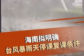 海南省教育厅公布征求意见稿，拟明确台风暴雨天停课复课条件