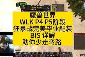 魔兽世界WLKP4 P5阶段狂暴战完美毕业配装BIS推荐#魔兽世界
