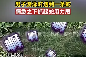 男子游泳时遇到一条蛇 情急之下抓起蛇用力甩@鸭屎有点香视频封面