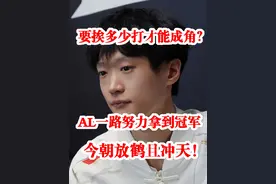要挨多少打才能成角？AL一路努力拿到冠军，今朝放鹤且冲天！