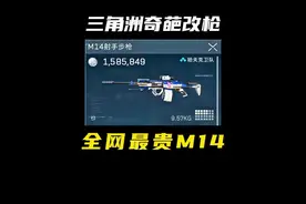 锐评【三角洲】奇葩改枪全网最贵M14! #三角洲行动