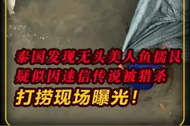 泰国发现无头美人鱼儒艮，疑似因迷信传说被猎杀，打捞现场曝光！ #泰国普吉岛 #美人鱼 #儒艮 #传说 #濒危物种