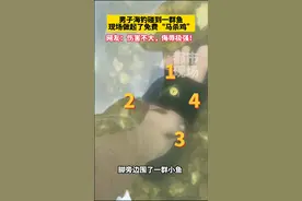 男子在海边钓鱼时，发现脚下围了一群鱼对他进行“鱼疗”，网友：伤害不大，侮辱极强！#爆料入口#万万没想到#社会百态#夏日海边 